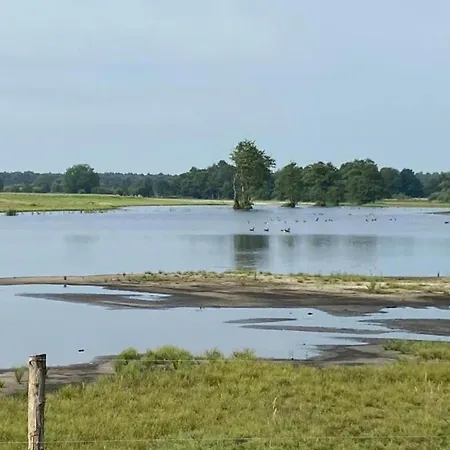 Dom wakacyjny In Near Leenderbos Forest Leende