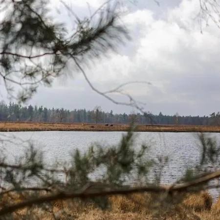 In Near Leenderbos Forest * Leende