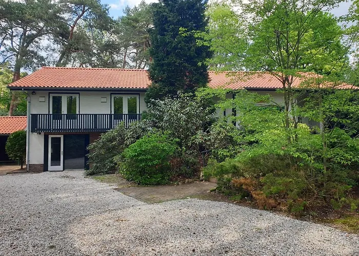 別荘 In Near Leenderbos Forest レーンデ