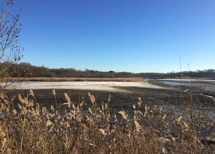 In Near Leenderbos Forest 別荘 *