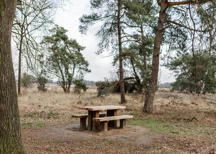 In Near Leenderbos Forest