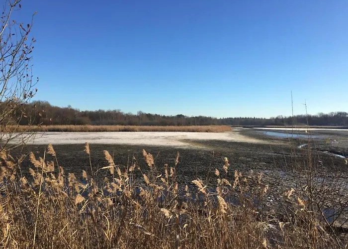 In Near Leenderbos Forest * レーンデ