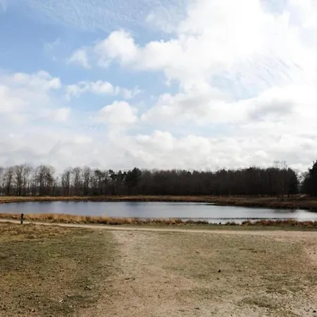 In Near Leenderbos Forest