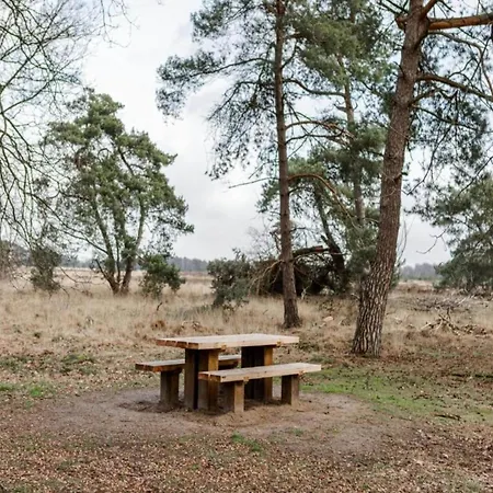 In Near Leenderbos Forest