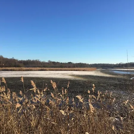 In Near Leenderbos Forest * Ленде