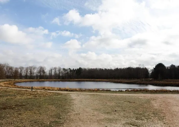 In Near Leenderbos Forest